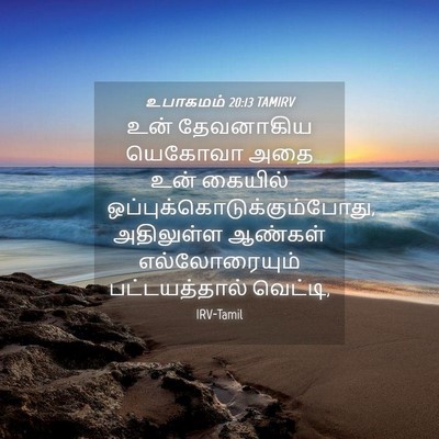 Picture 04 - உபாகமம் 20:13 TAMIRV - உன் தேவனாகிய - Bible Verse Picture