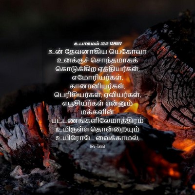 Picture 04 - உபாகமம் 20:16 TAMIRV - உன் தேவனாகிய - Bible Verse Picture