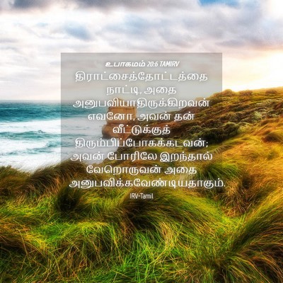 Picture 04 - உபாகமம் 20:6 TAMIRV -  - Bible Verse Picture