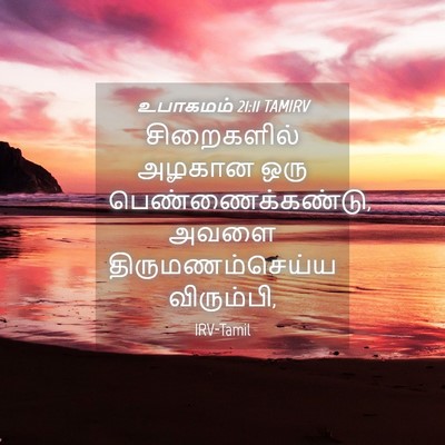 Picture 04 - உபாகமம் 21:11 TAMIRV - சிறைகளில் அழகான - Bible Verse Picture