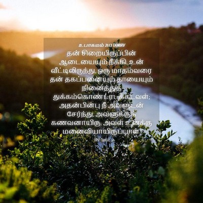 Picture 04 - உபாகமம் 21:13 TAMIRV - தன் - Bible Verse Picture