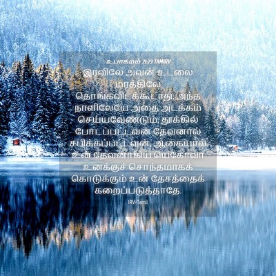 Picture 04 - உபாகமம் 21:23 TAMIRV - இரவிலே அவன் உடலை - Bible Verse Picture