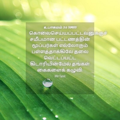 Picture 04 - உபாகமம் 21:6 TAMIRV -  - Bible Verse Picture