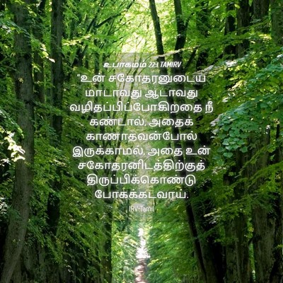 Picture 04 - உபாகமம் 22:1 TAMIRV - “உன் சகோதரனுடைய - Bible Verse Picture