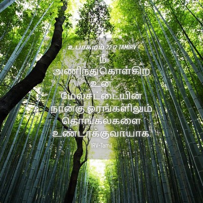 Picture 04 - உபாகமம் 22:12 TAMIRV - “நீ - Bible Verse Picture