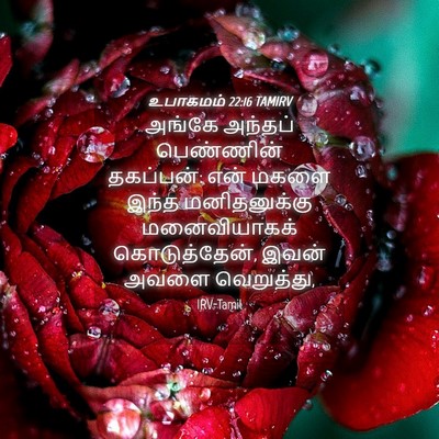 Picture 04 - உபாகமம் 22:16 TAMIRV - அங்கே அந்தப் - Bible Verse Picture