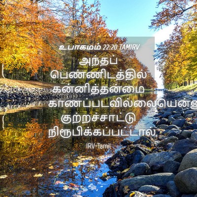 Picture 04 - உபாகமம் 22:20 TAMIRV - அந்தப் - Bible Verse Picture