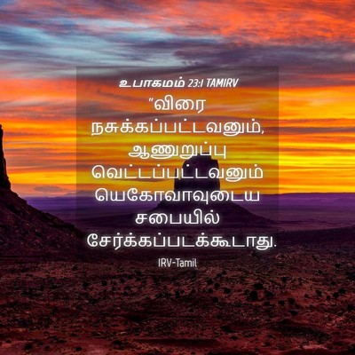 Picture 04 - உபாகமம் 23:1 TAMIRV - “விரை - Bible Verse Picture