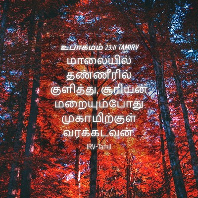 Picture 04 - உபாகமம் 23:11 TAMIRV - மாலையில் - Bible Verse Picture