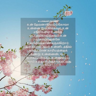 Picture 04 - உபாகமம் 23:14 TAMIRV - உன் தேவனாகிய - Bible Verse Picture