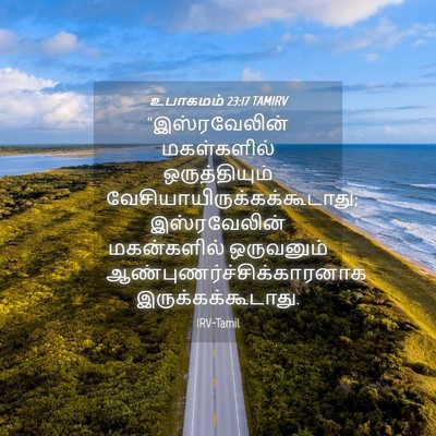 Picture 04 - உபாகமம் 23:17 TAMIRV - “இஸ்ரவேலின் - Bible Verse Picture