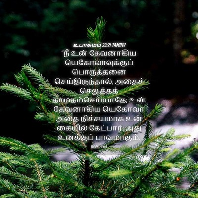 Picture 04 - உபாகமம் 23:21 TAMIRV - “நீ உன் தேவனாகிய - Bible Verse Picture