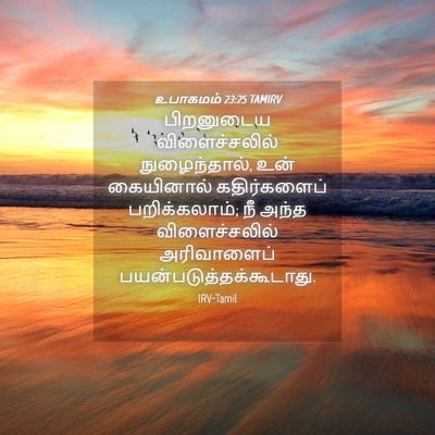 Picture 04 - உபாகமம் 23:25 TAMIRV - பிறனுடைய - Bible Verse Picture