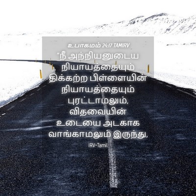 Picture 04 - உபாகமம் 24:17 TAMIRV - “நீ அந்நியனுடைய - Bible Verse Picture
