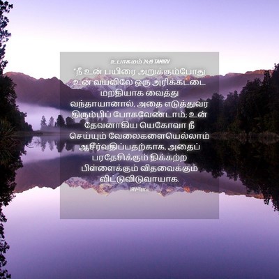Picture 04 - உபாகமம் 24:19 TAMIRV - “நீ உன் பயிரை - Bible Verse Picture