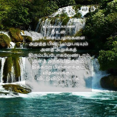 Picture 04 - உபாகமம் 24:21 TAMIRV - நீ உன் - Bible Verse Picture