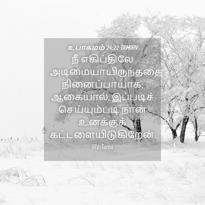Picture 04 - உபாகமம் 24:22 TAMIRV - நீ எகிப்திலே - Bible Verse Picture