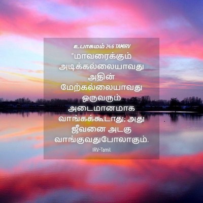 Picture 04 - உபாகமம் 24:6 TAMIRV - “மாவரைக்கும் - Bible Verse Picture