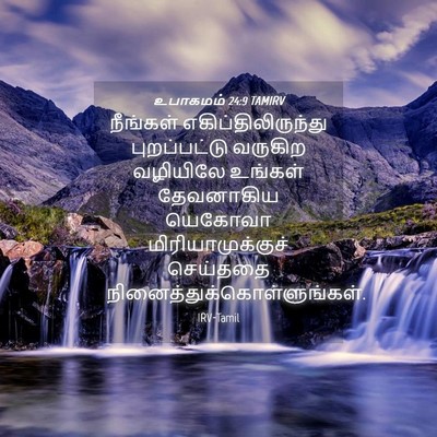 Picture 04 - உபாகமம் 24:9 TAMIRV - நீங்கள் - Bible Verse Picture