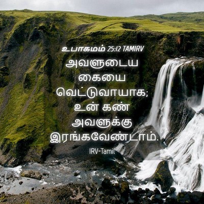 Picture 04 - உபாகமம் 25:12 TAMIRV - அவளுடைய கையை - Bible Verse Picture