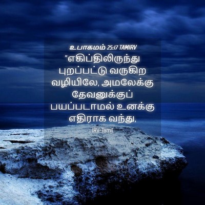 Picture 04 - உபாகமம் 25:17 TAMIRV - “எகிப்திலிருந்து - Bible Verse Picture