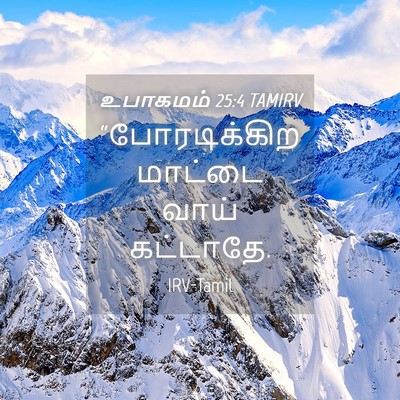 Picture 04 - உபாகமம் 25:4 TAMIRV - “போரடிக்கிற - Bible Verse Picture