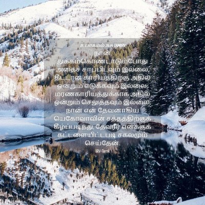 Picture 04 - உபாகமம் 26:14 TAMIRV - நான் - Bible Verse Picture