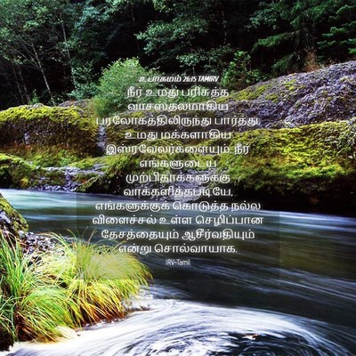 Picture 04 - உபாகமம் 26:15 TAMIRV - நீர் உமது - Bible Verse Picture