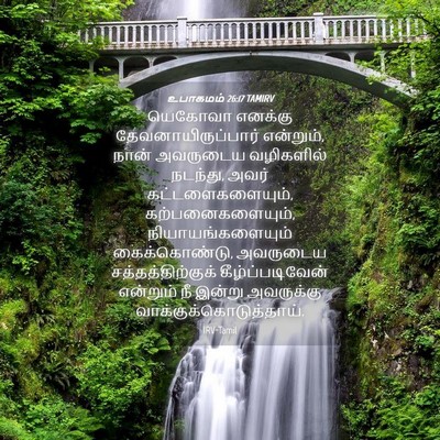 Picture 04 - உபாகமம் 26:17 TAMIRV - யெகோவா எனக்கு - Bible Verse Picture