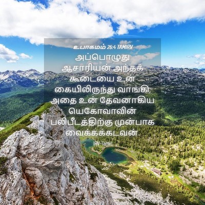 Picture 04 - உபாகமம் 26:4 TAMIRV - அப்பொழுது - Bible Verse Picture