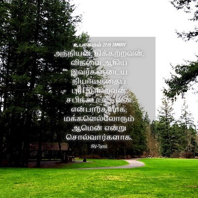 Picture 04 - உபாகமம் 27:19 TAMIRV - அந்நியன், - Bible Verse Picture