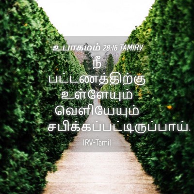 Picture 04 - உபாகமம் 28:16 TAMIRV - நீ பட்டணத்திற்கு - Bible Verse Picture
