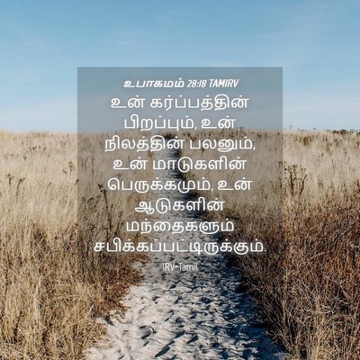 Picture 04 - உபாகமம் 28:18 TAMIRV - உன் கர்ப்பத்தின் - Bible Verse Picture