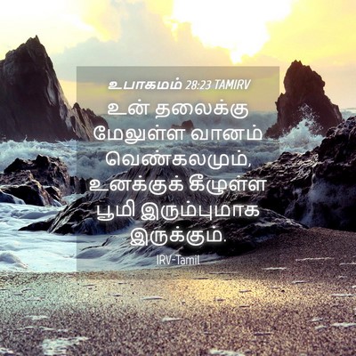 Picture 04 - உபாகமம் 28:23 TAMIRV - உன் தலைக்கு - Bible Verse Picture
