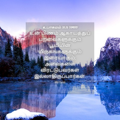 Picture 04 - உபாகமம் 28:26 TAMIRV - உன் பிணம் - Bible Verse Picture