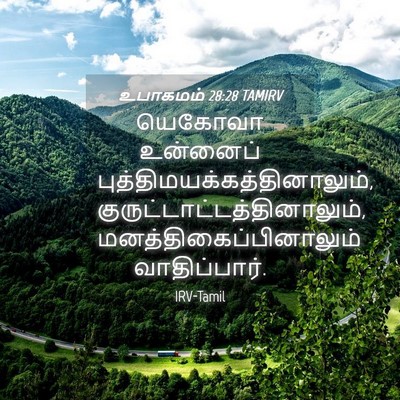 Picture 04 - உபாகமம் 28:28 TAMIRV - யெகோவா உன்னைப் - Bible Verse Picture