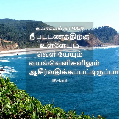 Picture 04 - உபாகமம் 28:3 TAMIRV - நீ பட்டணத்திற்கு - Bible Verse Picture