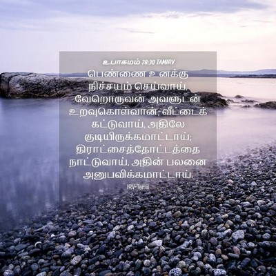 Picture 04 - உபாகமம் 28:30 TAMIRV - பெண்ணை உனக்கு - Bible Verse Picture