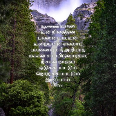 Picture 04 - உபாகமம் 28:33 TAMIRV - உன் நிலத்தின் - Bible Verse Picture