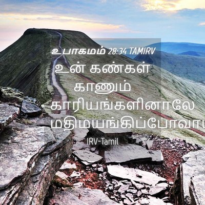 Picture 04 - உபாகமம் 28:34 TAMIRV - உன் கண்கள் காணும் - Bible Verse Picture
