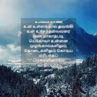 Picture 04 - உபாகமம் 28:35 TAMIRV - உன் உள்ளங்கால் - Bible Verse Picture