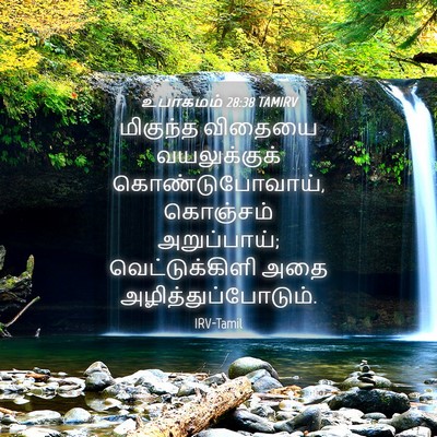 Picture 04 - உபாகமம் 28:38 TAMIRV - மிகுந்த விதையை - Bible Verse Picture