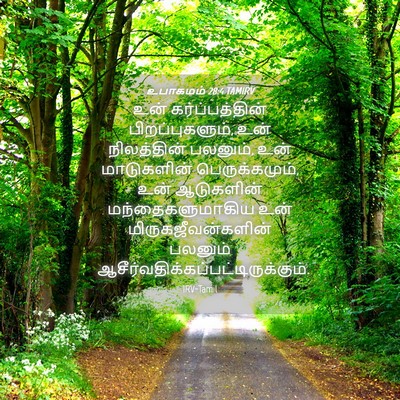 Picture 04 - உபாகமம் 28:4 TAMIRV - உன் கர்ப்பத்தின் - Bible Verse Picture