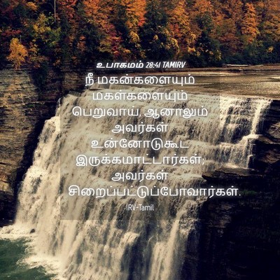 Picture 04 - உபாகமம் 28:41 TAMIRV - நீ மகன்களையும் - Bible Verse Picture