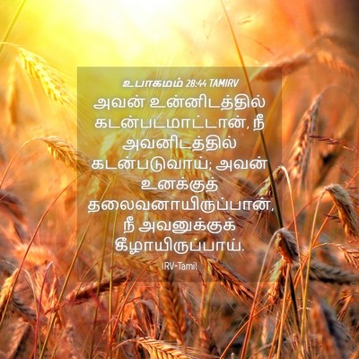 Picture 04 - உபாகமம் 28:44 TAMIRV - அவன் உன்னிடத்தில் - Bible Verse Picture