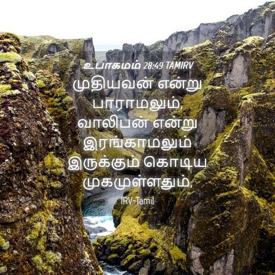 Picture 04 - உபாகமம் 28:49 TAMIRV - முதியவன் என்று - Bible Verse Picture