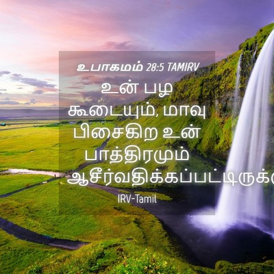 Picture 04 - உபாகமம் 28:5 TAMIRV - உன் பழ கூடையும், - Bible Verse Picture