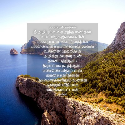 Picture 04 - உபாகமம் 28:51 TAMIRV - நீ அழியும்வரை - Bible Verse Picture