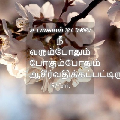 Picture 04 - உபாகமம் 28:6 TAMIRV - நீ வரும்போதும் - Bible Verse Picture