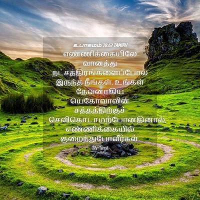 Picture 04 - உபாகமம் 28:62 TAMIRV - எண்ணிக்கையிலே - Bible Verse Picture